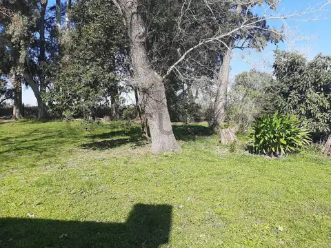 Quinta en Venta en Villa Parque Sicardi, USD 79.000