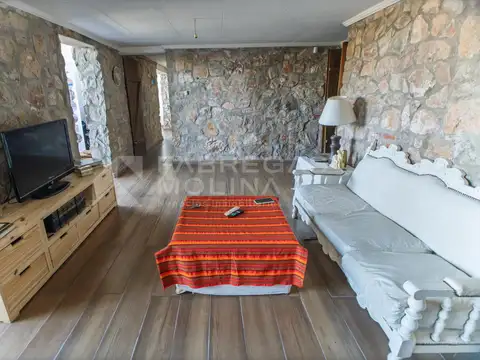 CERRO PAYUN, VILLA ALLENDE