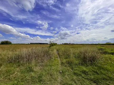 Campo de 60.000 m2 en Perez