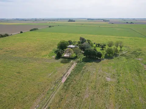 Campo de 25 hectáreas en 4 esquinas
