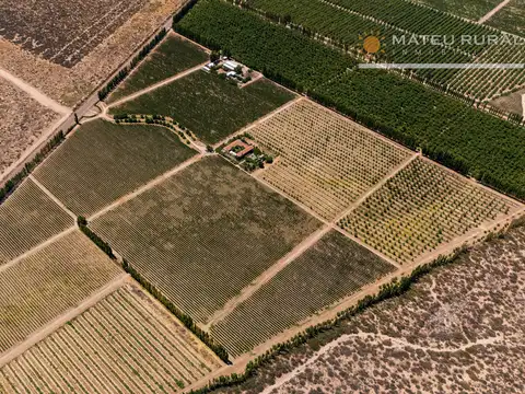 Campo en Venta de 90  ha