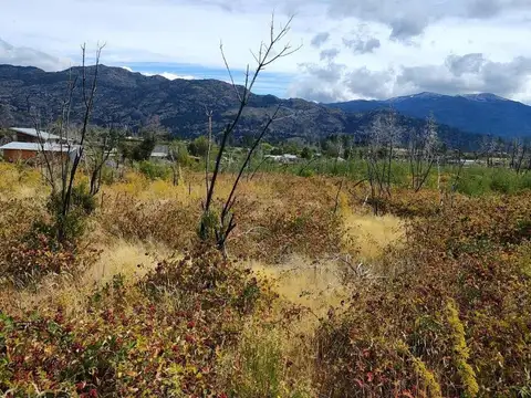Depto Tipo Casa en Venta de Monoambiente