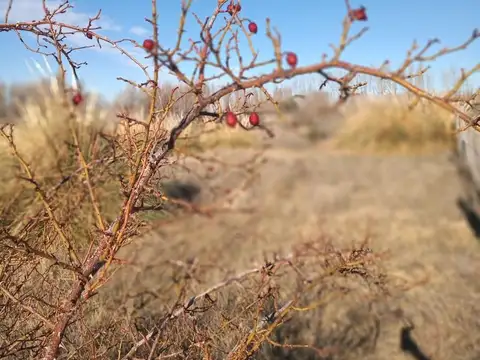 Terreno de 3 hectareas sobre ruta provincial 47 en el pintoresco pueblo de santo tomas