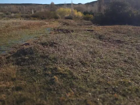 Terreno en Venta de 30000,0 m2