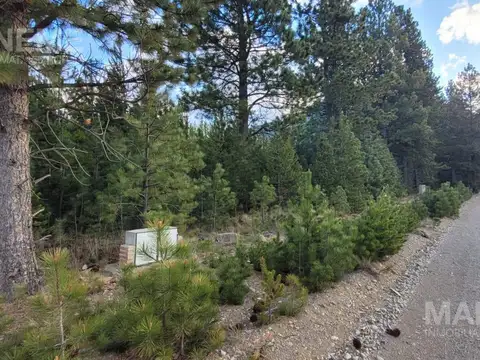 Terreno en Venta 53  mts Fondo