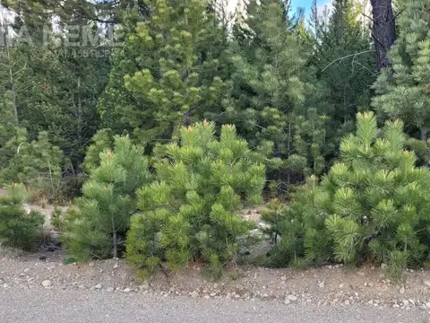 Club de Campo Dos Valles