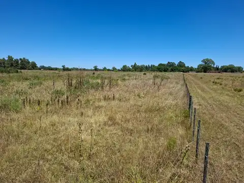 Venta de 2.6 Hectáreas en San Miguel del Monte