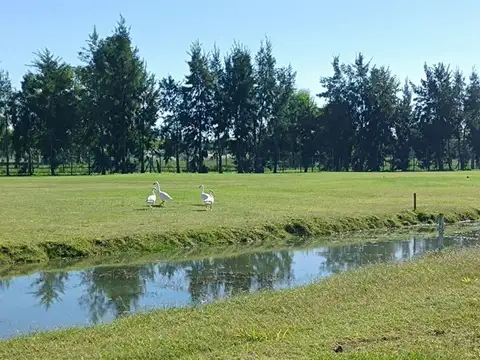 Ruta Provincial 2