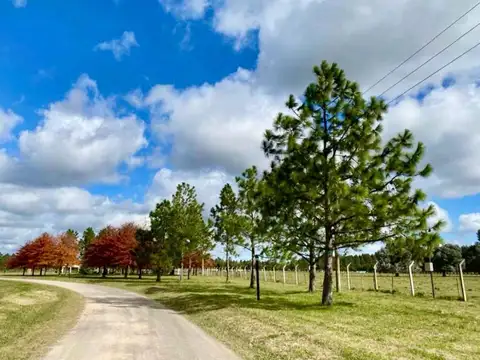 Lote en venta Las Hojas Club de Campo Marcos Paz