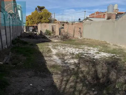 Los Nogales