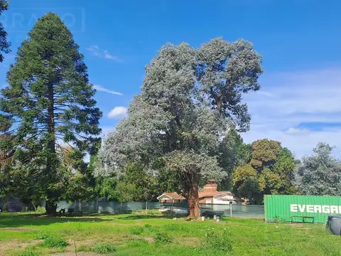 Terreno en Venta 51  mts Fondo