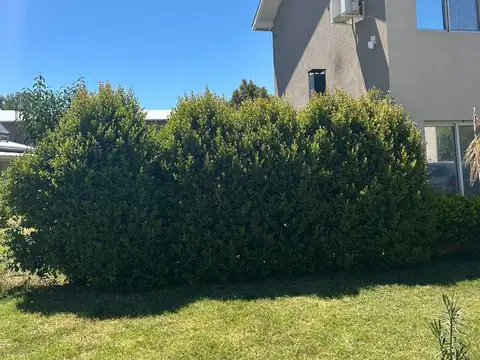 Departamento en Pilar