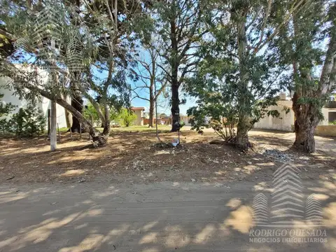 Jujuy entre Hernandez y Gutierrez