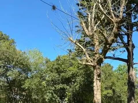 Terreno en venta en los Naranjos