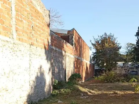 Granaderos 41