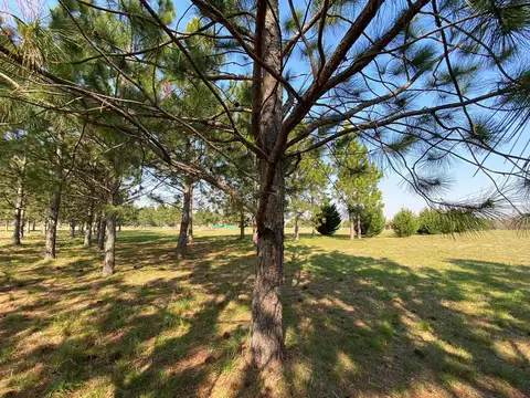 Lote en Los Cardales