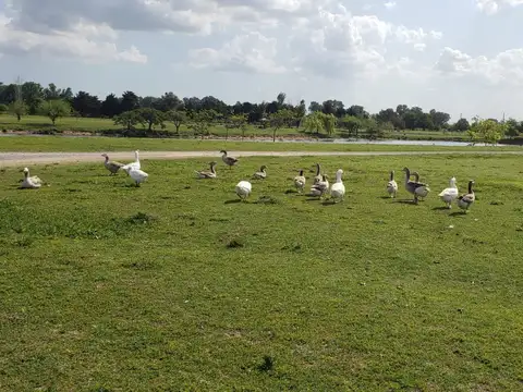 Lote Country El Nacional