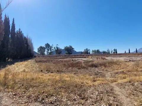 CRUZ DE PIEDRA, SAN ROQUE, LOTE 100