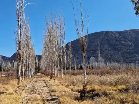 VENTA FINCA 10,8 HAS EN SAN ROQUE JACHAL