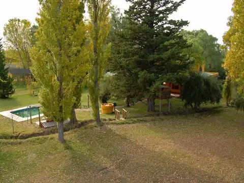 LOS OLIVOS 900