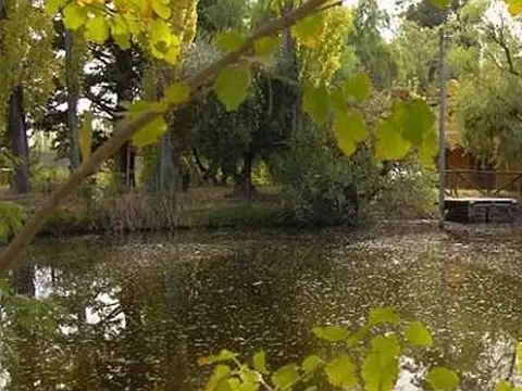 Terreno Campo  en Venta en Rama Caída, San Rafael, Mendoza, Argentina