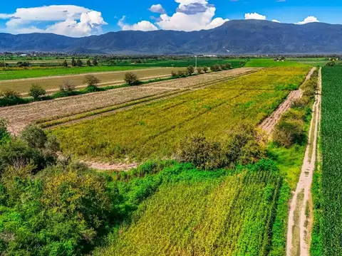 CAMPO VENTA 36 HECTAREAS SOBRE RP 21 CERRILLOS