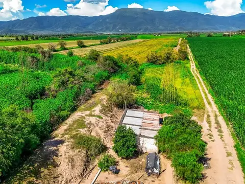 CAMPO VENTA 36 HECTAREAS SOBRE RP 21 CERRILLOS