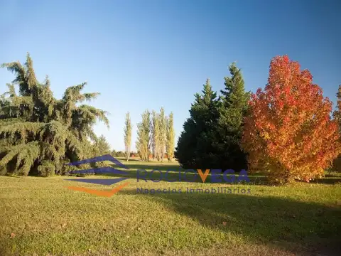 Terreno en venta en la Primavera Golf