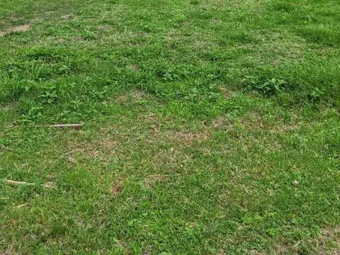 Terreno en Venta de 2500,0 m2