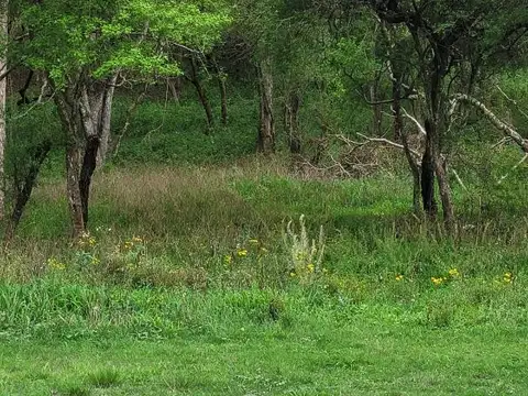 Valle Escondido