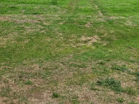 Terreno en Valle Escondido