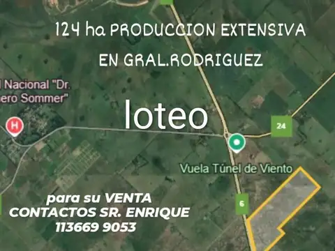 en General Rodríguez Provincia de Buenos Aires