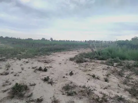 Mendoza
