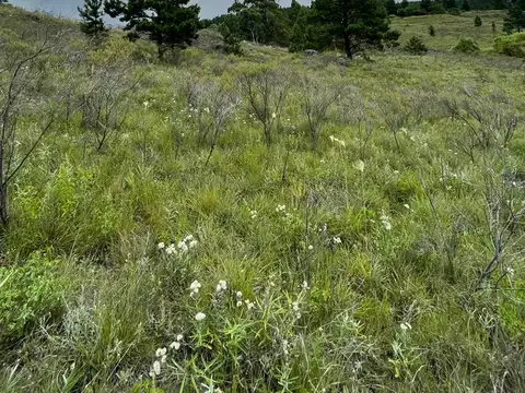 san miguel de los rios 100