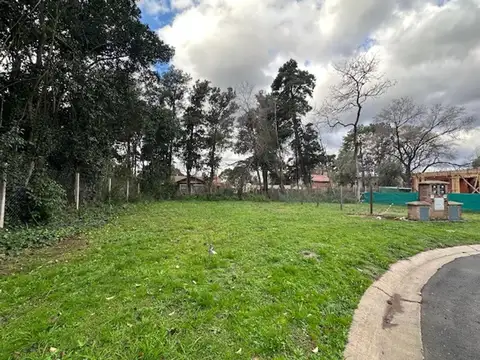 Libertad