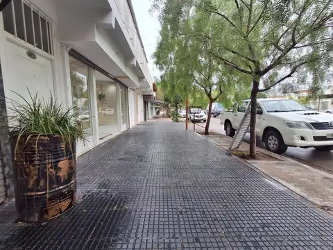 Alquilo local comercial en Rincón de los Sauces
