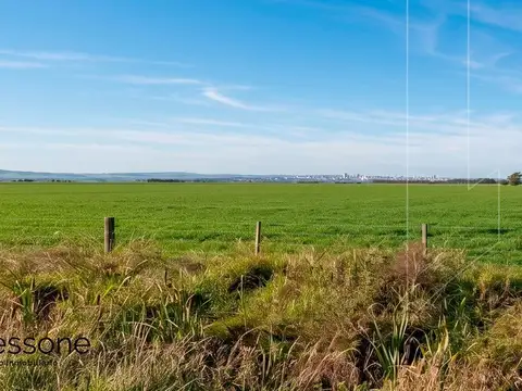 Campo 100% Agricola Facil Acceso