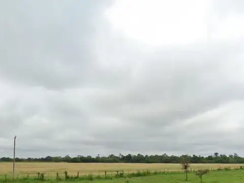 Ruta Nacional 95