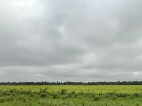 Campo en venta - 97 Hectáreas - Pampa Florida