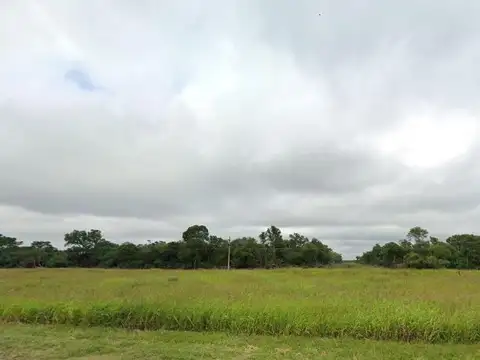 Campo en venta - 97 Hectáreas - Pampa Florida