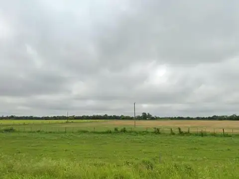 Ruta Nacional 95