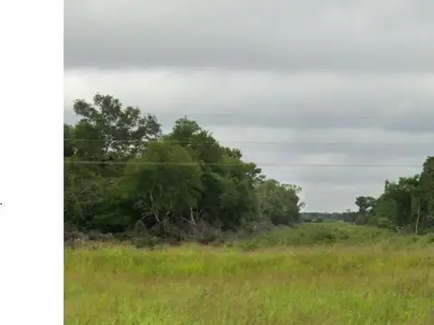 Campo en venta - 97 Hectáreas - Pampa Florida
