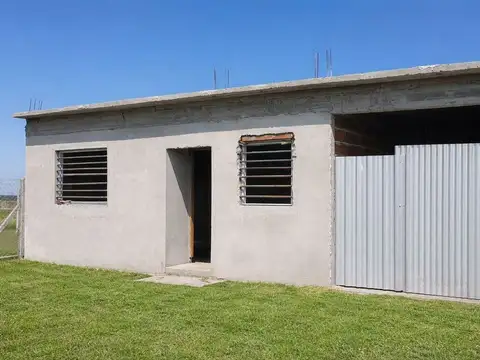 Domingo F. Sarmiento 1800