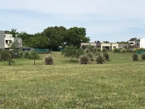 Terreno Lote  en Venta en Santa Elena, Pilar del Este, Pilar