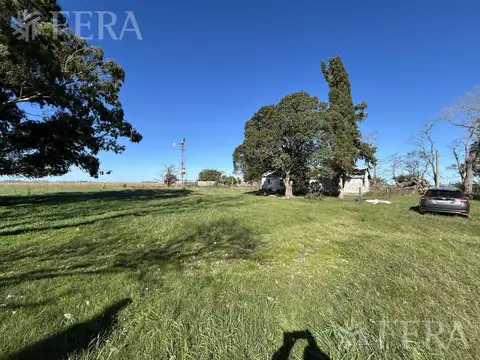 Venta Campo 302 hectáreas en Comandante Giribone Chascomus