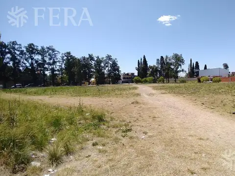 Terreno en Venta 25  mts Fondo