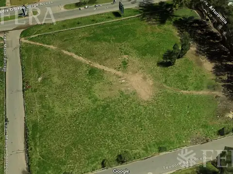 TEODORO FELS al 2300