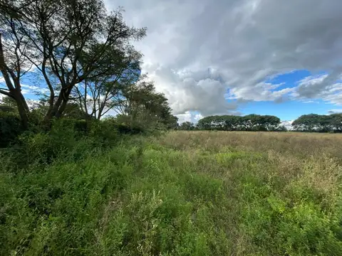 Terreno en Venta de 260,0 m2
