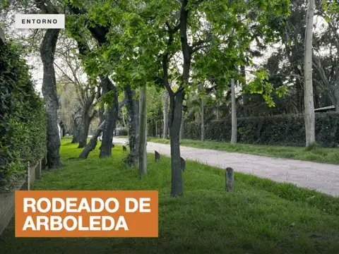 Terreno en Venta 48  mts Fondo