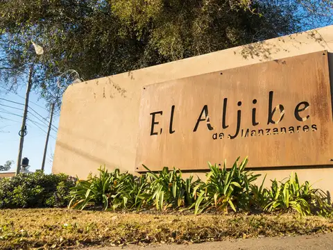 El 100